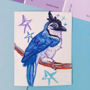 Weißkehlelster Eichelhäher Original Vogel Mini 3x3,75 "Illustration / Mixed Media Ungerahmt Kunst / Aquarell und Wachspastellzeichnung / Vogelgeschenk