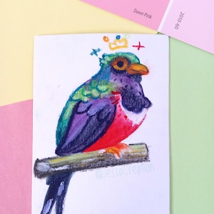 Oiseau trogon masqué Original Mini 3 x 4" Illustration/techniques mixtes sans cadre Art/aquarelle et dessin pastel à la cire/cadeau d'ornithologie/décoration murale