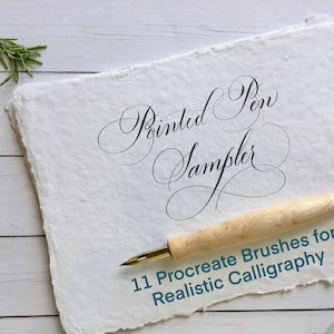 11 Pointed Pen Calligraphy Brushes for Procreate