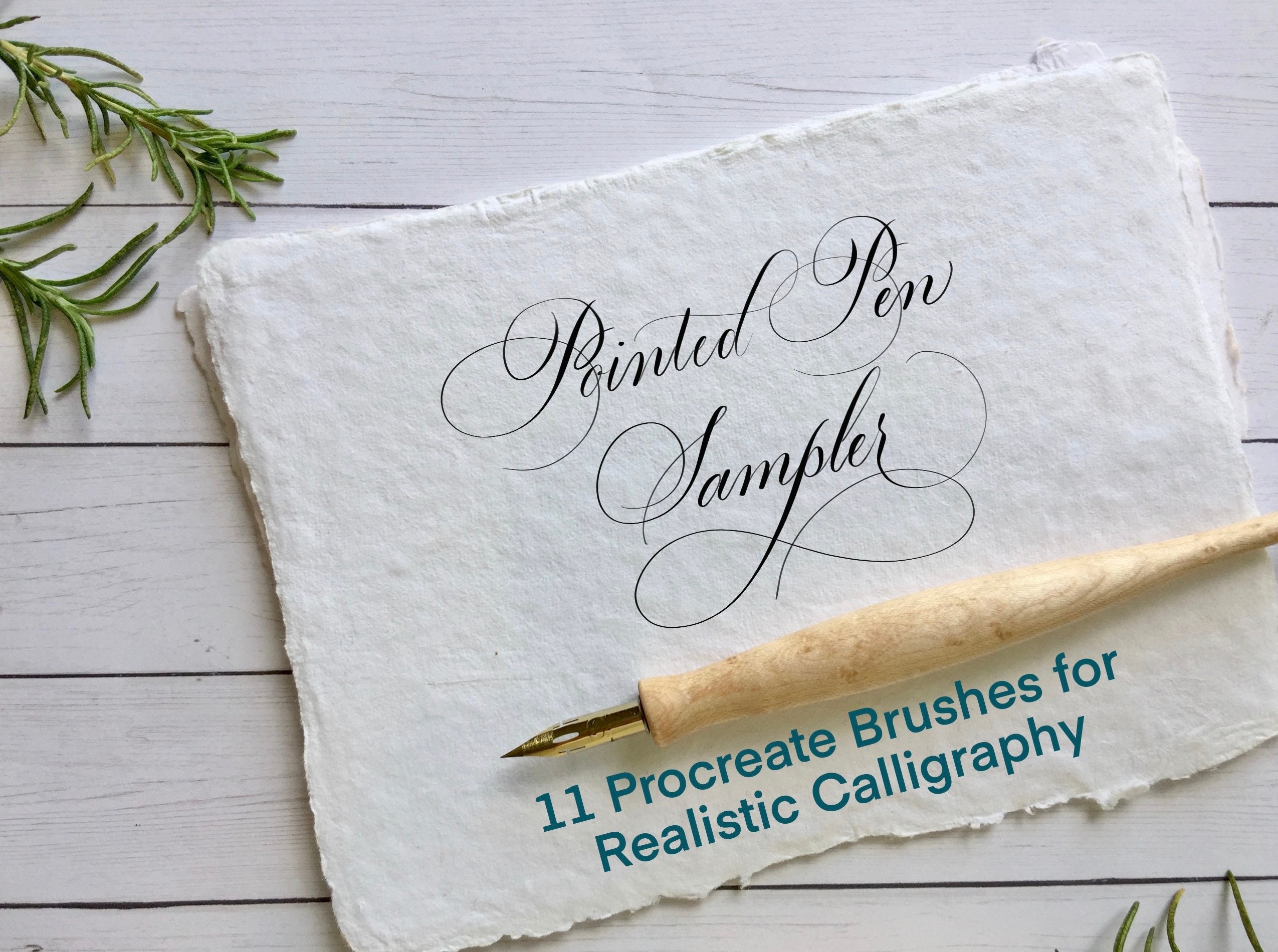 11 Pointed Pen Calligraphy Brushes for Procreate
