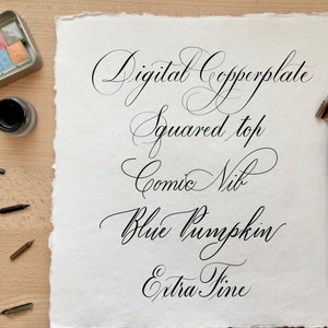 11 Pointed Pen Calligraphy Brushes for Procreate - Etsy