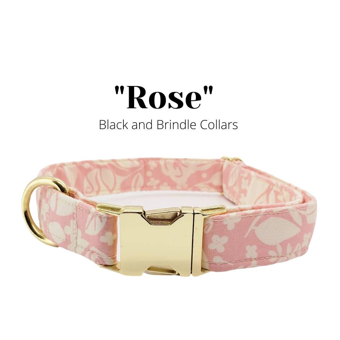 Pink Chewy Vuitton Flower Print Collar & Leash | Chewy Vuitton Shop