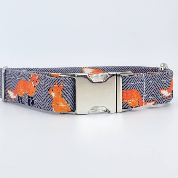 Fox dog collar on grey background, fall dog collar for boy and girl dogs