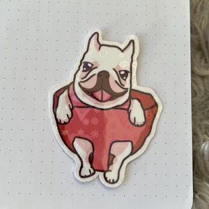 Pibble Holographic Vinyl Sticker