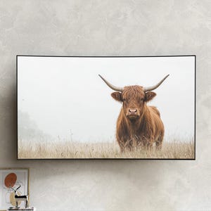 TV Art | Samsung Frame TV Art | Highland Cow Digital Tv Art | Farmhouse Tv Art | Highland Cow Art Samsung Frame Tv | Instant Download