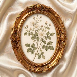 Cottagecore botanical gallery wall print set featuring antique-inspired watercolor botanicals.