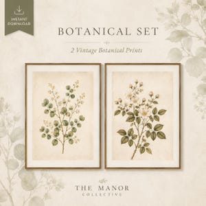 Vintage botanical flower and foliage artwork designed as a matching wall decor bundle.