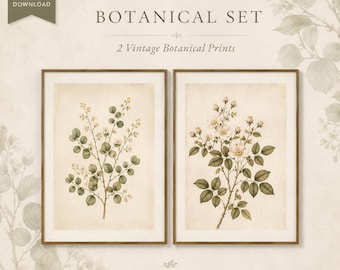 Puede incluir: Un conjunto de dos láminas botánicas enmarcadas con ilustraciones de plantas con flores, hojas verdes y pequeñas flores blancas sobre un fondo color crema. El texto BOTANICAL SET, 2 Vintage Botanical Prints y THE MANOR COLLECTIVE es visible.