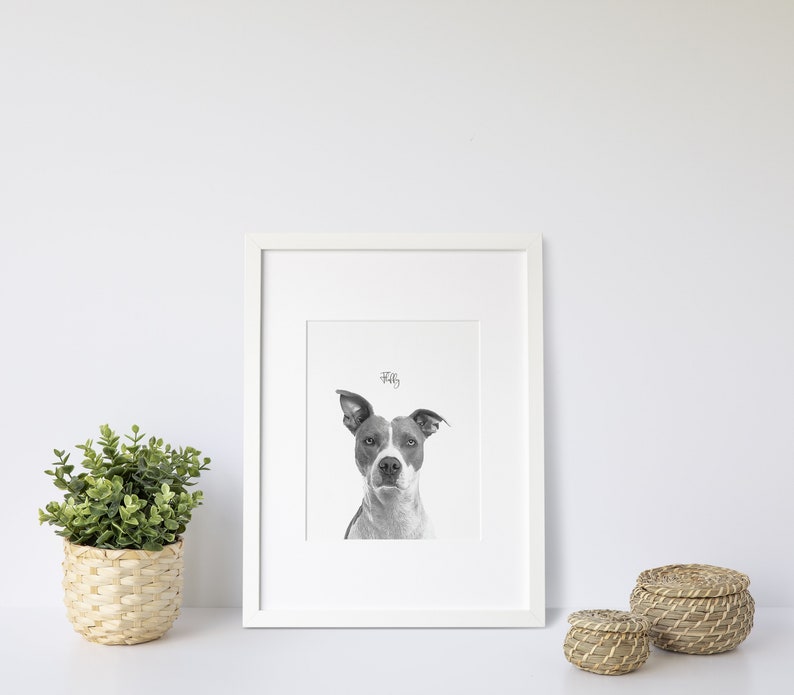 Dog Lover Gift Dog Poster Personalised Pet Print Dog Poster Print Dog Wall Art Wall Decor,Dog Wall Art Personalised Pet Print