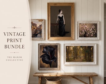 Puede incluir: Una pared de galería con cinco láminas de arte enmarcadas sobre un banco de madera y una cesta tejida. Las imágenes incluyen un retrato de una persona con vestido negro, una escena de canal, un arreglo floral, un lirio negro y un parque.