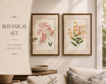 Puede incluir: Dos láminas botánicas enmarcadas con delicadas ilustraciones florales en tonos rosa y naranja, expuestas en una pared. Una superposición beige a la izquierda muestra el texto BOTANICAL SET THE MANOR COLLECTIVE en letras marrones.