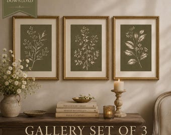 May include: Three framed botanical prints with gold frames and a dark green background. Each print features a different white botanical illustration. The prints are displayed above a wooden cabinet with books, a candle, and a vase of flowers. Text on the image reads "GALLERY SET OF 3".