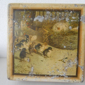Vintage Tin Box Italian Square Metal Box Chicks 1920