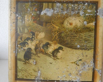 Vintage Tin Box Italian Square Metal Box Chicks 1920