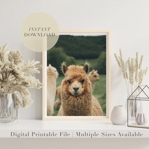 May include: A digital printable art print featuring a close-up of a brown alpaca with a blurred background of green grass and other alpacas. The print is framed in a light wood frame and displayed on a white shelf with decorative plants.
