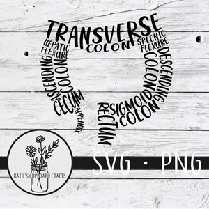 Anatomy of the Large Intestine; Anatomy of the Colon - SVG Cut File