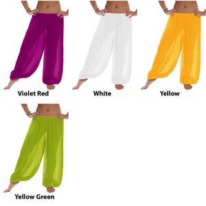 Chiffon Harem Pants Women, Belly Dance Trousers, Boho Genie Pants, Yoga Longue Wide Leg Pants, Pantaloons Halloween Pants, Belly Dance Pants image 9