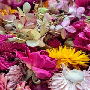 Tiny Dried Flower Heads and Petals  - Preserved Flowers - Floral Mixture - Natural Flower Blossoms - Wedding Floral Confetti