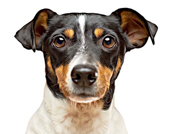 Oil painting dog portrait, Custom pet portrait Framed pet portrait Canvas pet portrait Print pet portrait Digital pet portrait
