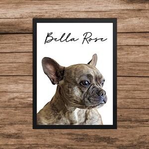 Pet Portrait , Custom Pet Portrait, Pet Memorial, Pet Gift