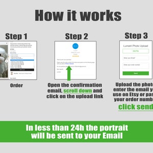 May include: A graphic illustrating the steps to order a custom pet portrait. The steps include ordering, opening a confirmation email, and uploading a photo. The text reads "How it works" and "In less than 24h the portrait will be sent to your Email."