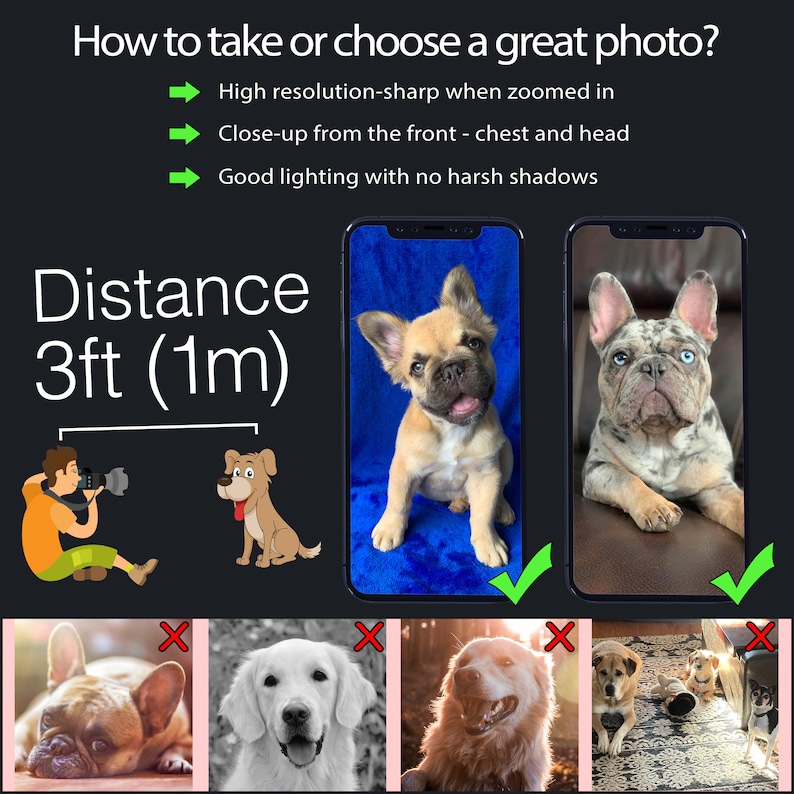 May include: An informational graphic with text on how to take a great photo. The text includes tips on resolution, close-up shots, and lighting. The graphic also shows examples of good and bad photos of dogs, with a distance of 3 feet (1 meter) indicated.