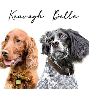May include: A portrait of two dogs, one a reddish-brown setter with a tan collar and the other a black and white dog with a brown collar. The text "Keavagh Bella" is written above the dogs in a cursive font.