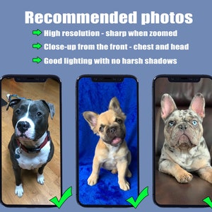 May include: Image of three smartphones displaying dog photos. The text "Recommended photos" is at the top, with guidelines for high resolution, close-up shots, and good lighting. Each phone shows a different dog breed, with green check marks.