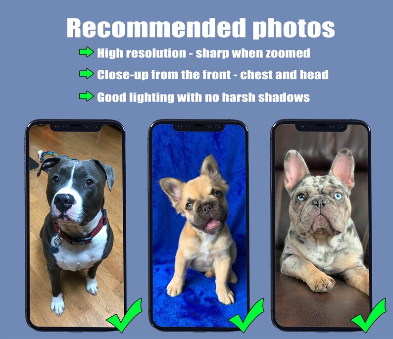 May include: Image of three smartphones displaying dog photos. The text "Recommended photos" is at the top, with guidelines for high resolution, close-up shots, and good lighting. Each phone shows a different dog breed, with green check marks.