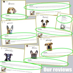 May include: A collection of customer reviews, each displayed on a white card with a portrait of a dog. The reviews feature star ratings and text praising the product's quality and service. The phrase "Our reviews" is at the bottom.