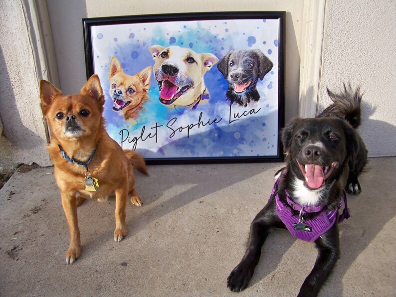 May include: A framed watercolor portrait featuring three dogs with the names "Piglet Sophie Luca" in script. A brown dog with a blue collar sits to the left, and a black dog with a purple harness is on the right. The background is a blue watercolor wash.