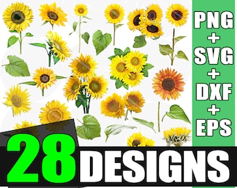 Sunflower PNG | Sunflower SVG | Sunflower Clipart | Flower SVG | floral svg | flower clipart | sunflower svg files for cricut
