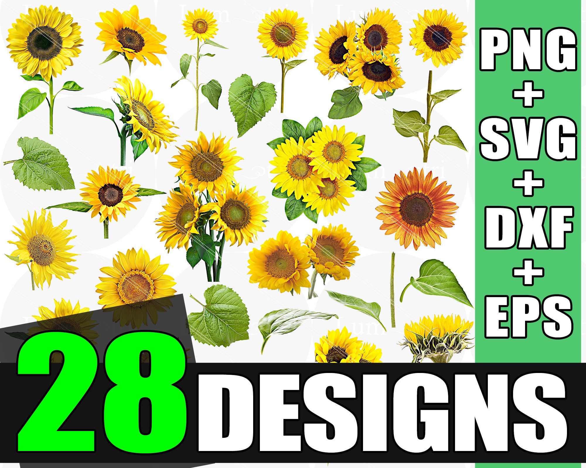 Free Free 310 Sunflower Svg Etsy SVG PNG EPS DXF File