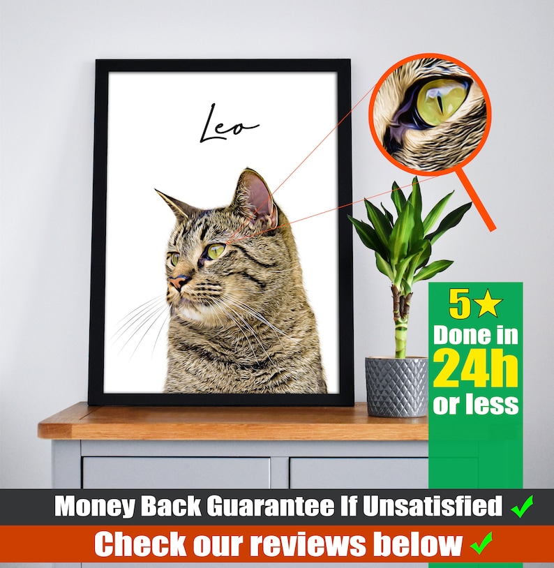 May include: A framed portrait of a tabby cat named Leo, with a close-up of its eye. The image is displayed on a wooden surface, with a small plant and a green sign that says "Done in 24h or less".
