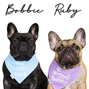 May include: Two French Bulldogs, one black and one fawn, wearing bandanas. The black dog's bandana is light blue with the text "One Cute Chice". The fawn dog's bandana is lavender with the text "Snuggle Bunny". The names "Bobbie" and "Ruby" are above the dogs.
