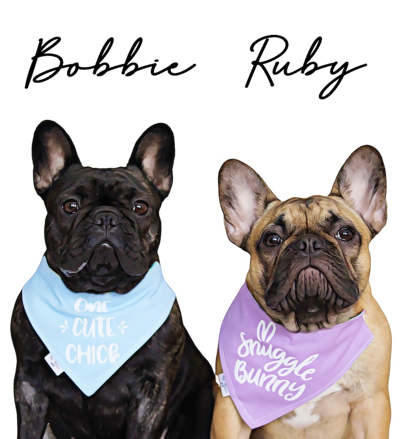 May include: Two French Bulldogs, one black and one fawn, wearing bandanas. The black dog's bandana is light blue with the text "One Cute Chice". The fawn dog's bandana is lavender with the text "Snuggle Bunny". The names "Bobbie" and "Ruby" are above the dogs.