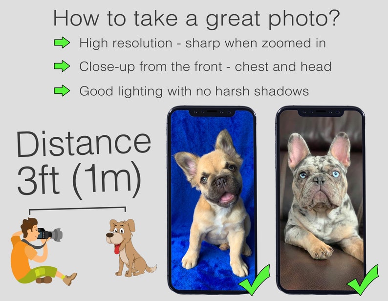 May include: Image demonstrating photography tips. Text reads: "How to take a great photo?" with bullet points on resolution, close-up shots, and lighting. Two smartphone screens display dog portraits. The text also includes "Distance 3ft (1m)".