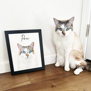 May include: A framed portrait of a cat named Poe, with a black frame, sits on the floor next to a live cat. The portrait and the cat have similar markings, with blue eyes and a white and brown coat. The cat is sitting on a wooden floor.