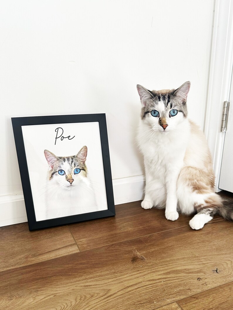 May include: A framed portrait of a cat named Poe, with a black frame, sits on the floor next to a live cat. The portrait and the cat have similar markings, with blue eyes and a white and brown coat. The cat is sitting on a wooden floor.
