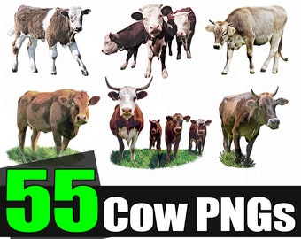 Cow PNG | Cow With Bandana PNG | Cow Designs | Cow PNG Files | Cow Skull Png | cow watercolor png