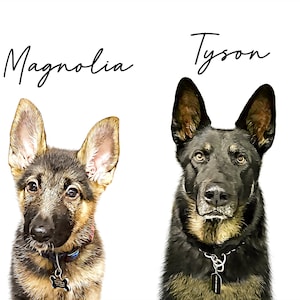 May include: Digital portrait of two German Shepherds, one a puppy and the other an adult. The puppy, named Magnolia, has tan and black fur. The adult, named Tyson, has black and tan fur. Both dogs wear collars.