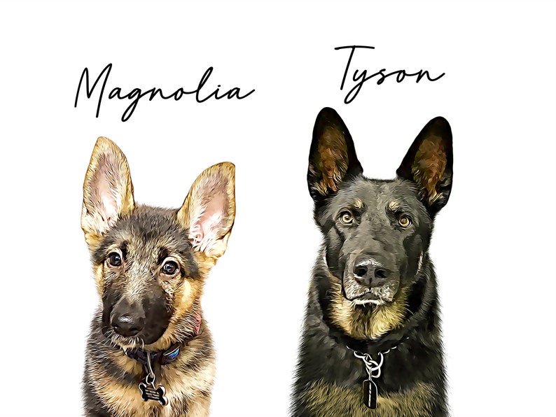 May include: Digital portrait of two German Shepherds, one a puppy and the other an adult. The puppy, named Magnolia, has tan and black fur. The adult, named Tyson, has black and tan fur. Both dogs wear collars.