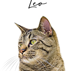 May include: A digital portrait of a tabby cat with green eyes, featuring brown and black stripes. The name "Leo" is written in a cursive font above the cat's head against a white background.