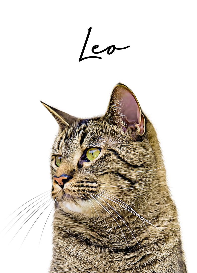May include: A digital portrait of a tabby cat with green eyes, featuring brown and black stripes. The name "Leo" is written in a cursive font above the cat's head against a white background.