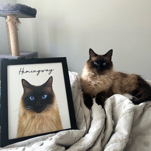May include: A framed portrait of a cat with blue eyes and the name "Hemingway" in script. A live cat with similar coloring and blue eyes rests on a light gray blanket. A cat tree is in the background.