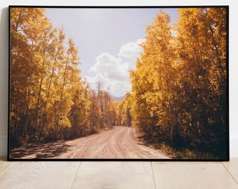 County Road with Golden Yellow Aspens Print, Colorado Autumn Wall Art, Crested Butte Colorado, Fall Photography Print, Farmhouse Decor