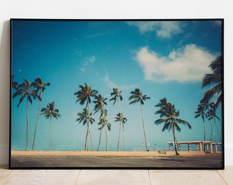 Blue Sky Palm Tree Wall Art Print, Haleiwa, Oahu, Hawaii, Tropical Surf Island Photography