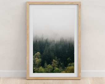 Rustic Misty Green Forest Wall Art Print, Cascade Mountains Pacific Northwest Photography Wall Art