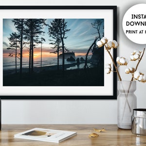 May include: A framed landscape print featuring a coastal scene at sunset. Silhouetted trees stand in the foreground against a backdrop of the ocean and a colorful sky. The print is displayed on a wooden surface with decorative items.