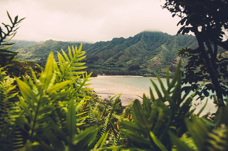 Tropical Boho Hawaii Landscape Wall Art Hawaii Photography Etsy